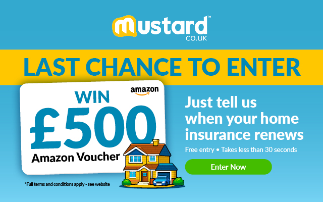 Compare all your insurance in one place